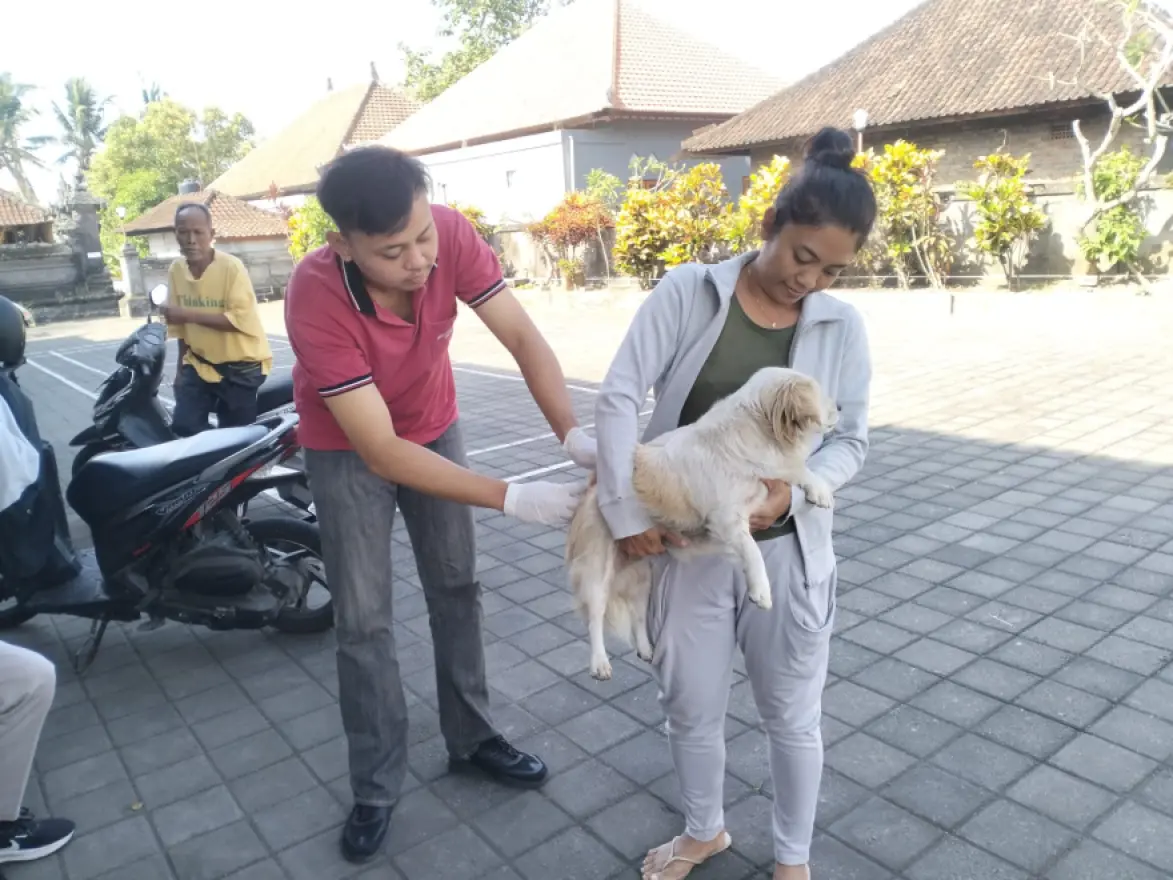 Program Vaksinasi Rabies Massal untuk Cegah Penyebaran Rabies